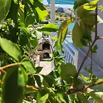 Daire Seafront - Kalebova Luka